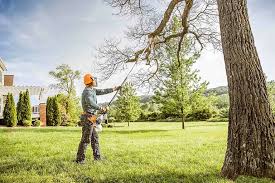 Best Grass Overseeding  in San Luis Obispo, CA