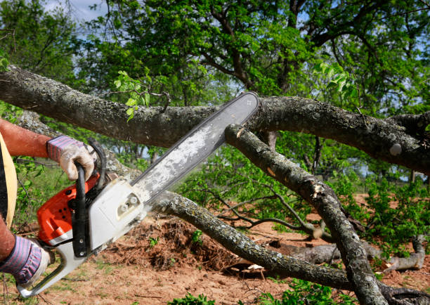 Best Aeration Services  in San Luis Obispo, CA